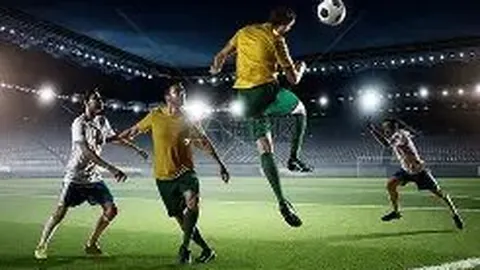 中国排球男女队受邀体验场地