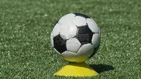 “广岛三箭官方道歉：处罚决策引质疑，全力查明事件真相”