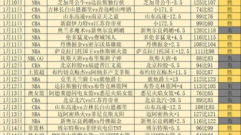 奇才败北，阿德巴约砍下19分14篮板